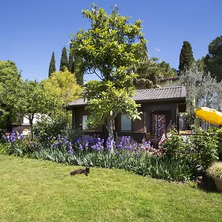Campeggio Ideal Molino Camping *