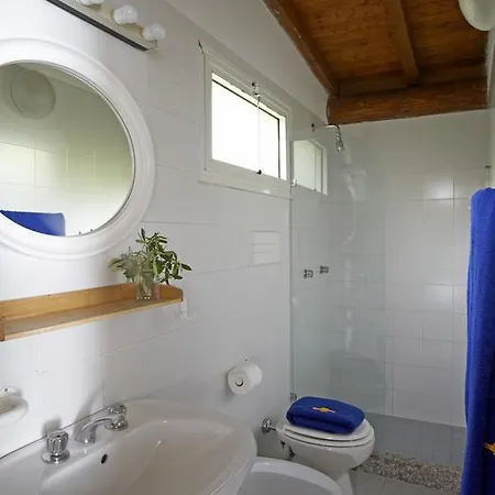 Ideal Molino *