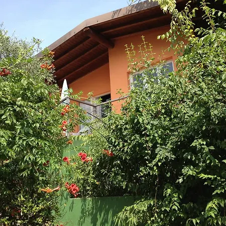 Ideal Molino