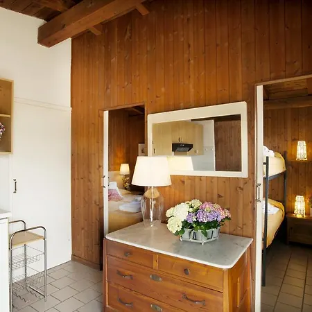 Ideal Molino *