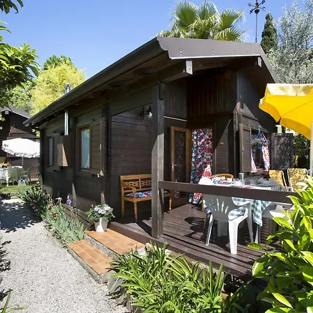 Ideal Molino *
