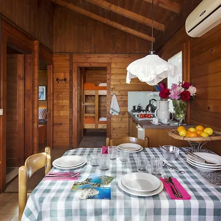 Ideal Molino *