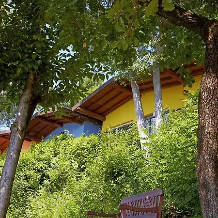 Ideal Molino